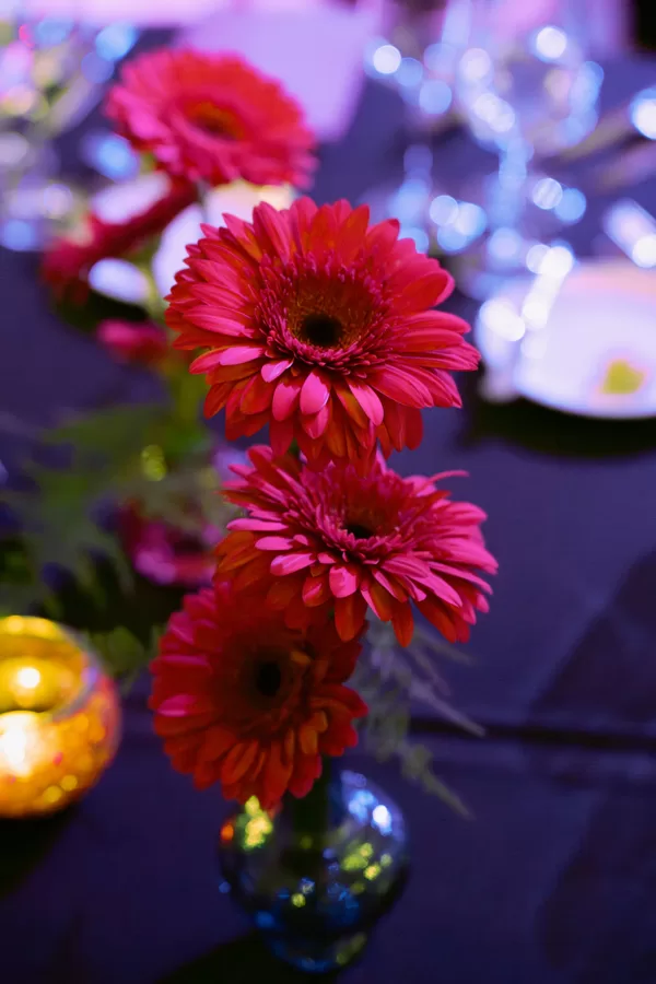 Gala Dinner